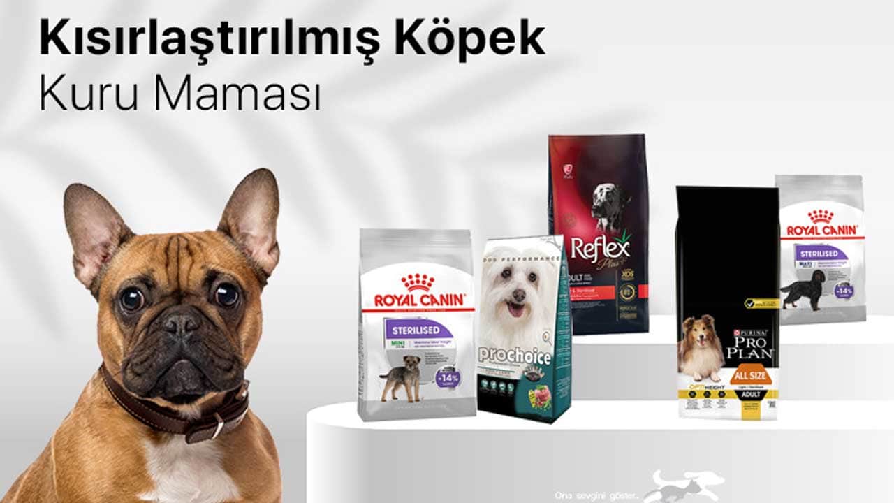 Hills, Pro Plan, Acana, Royal Canin köpek maması