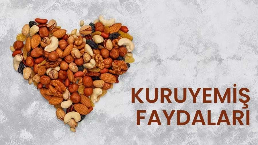 Meraklılar Kuruyemiş-Kuruyemiş Faydaları