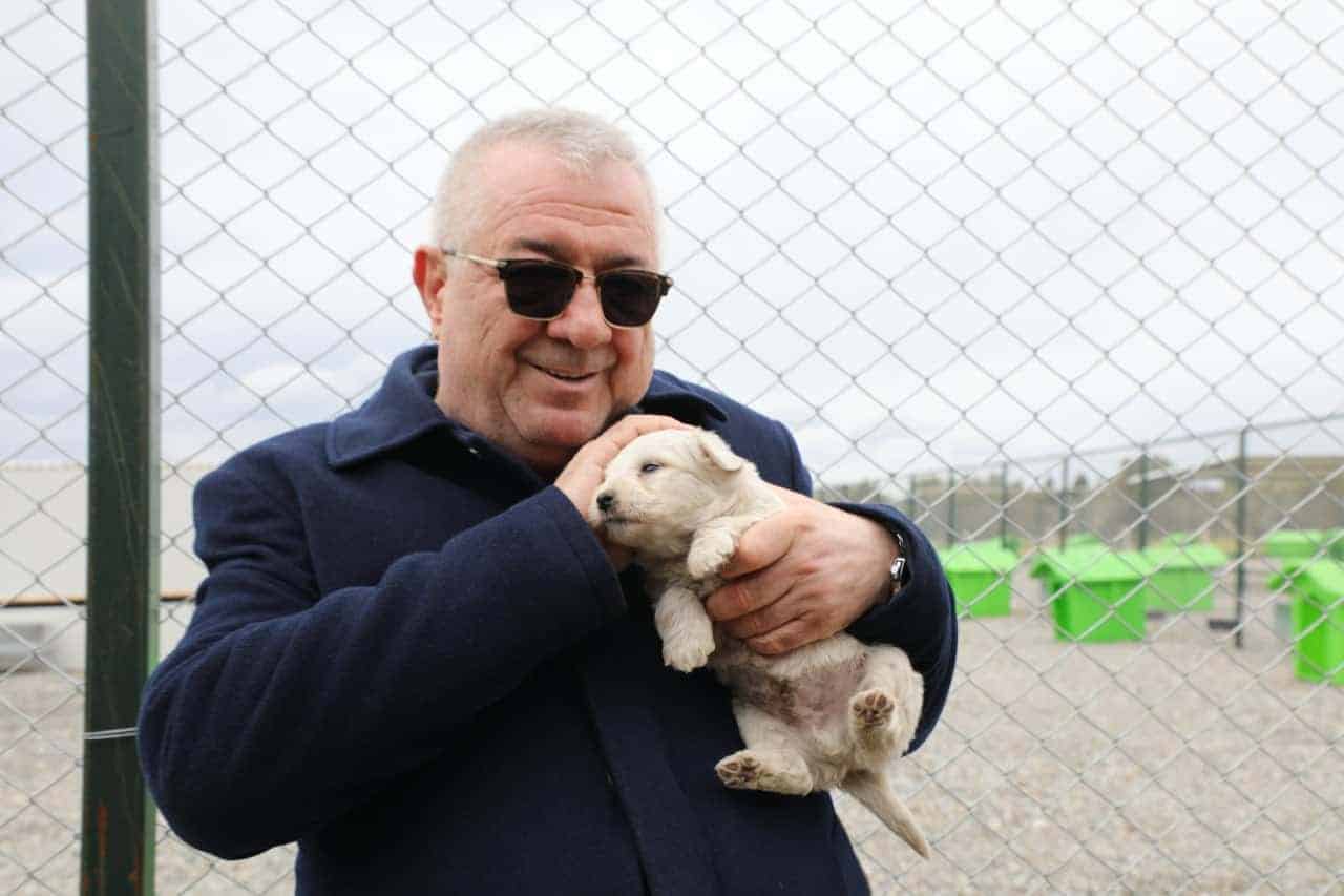 Başkan Ertaş: Eminkuyu’daki Sokak Hayvanları İçin Soruşturma ve Koruma Çalışmaları Sürüyor